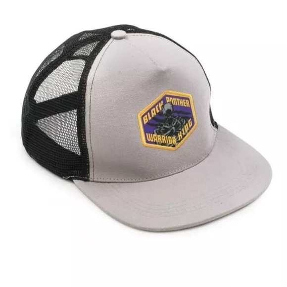 DISNEY Marvel Black Panther Collector Box & Black Panther 12"  Action Figure - Picture 3 of 13